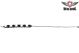 Womens Black and White Belt with Circles